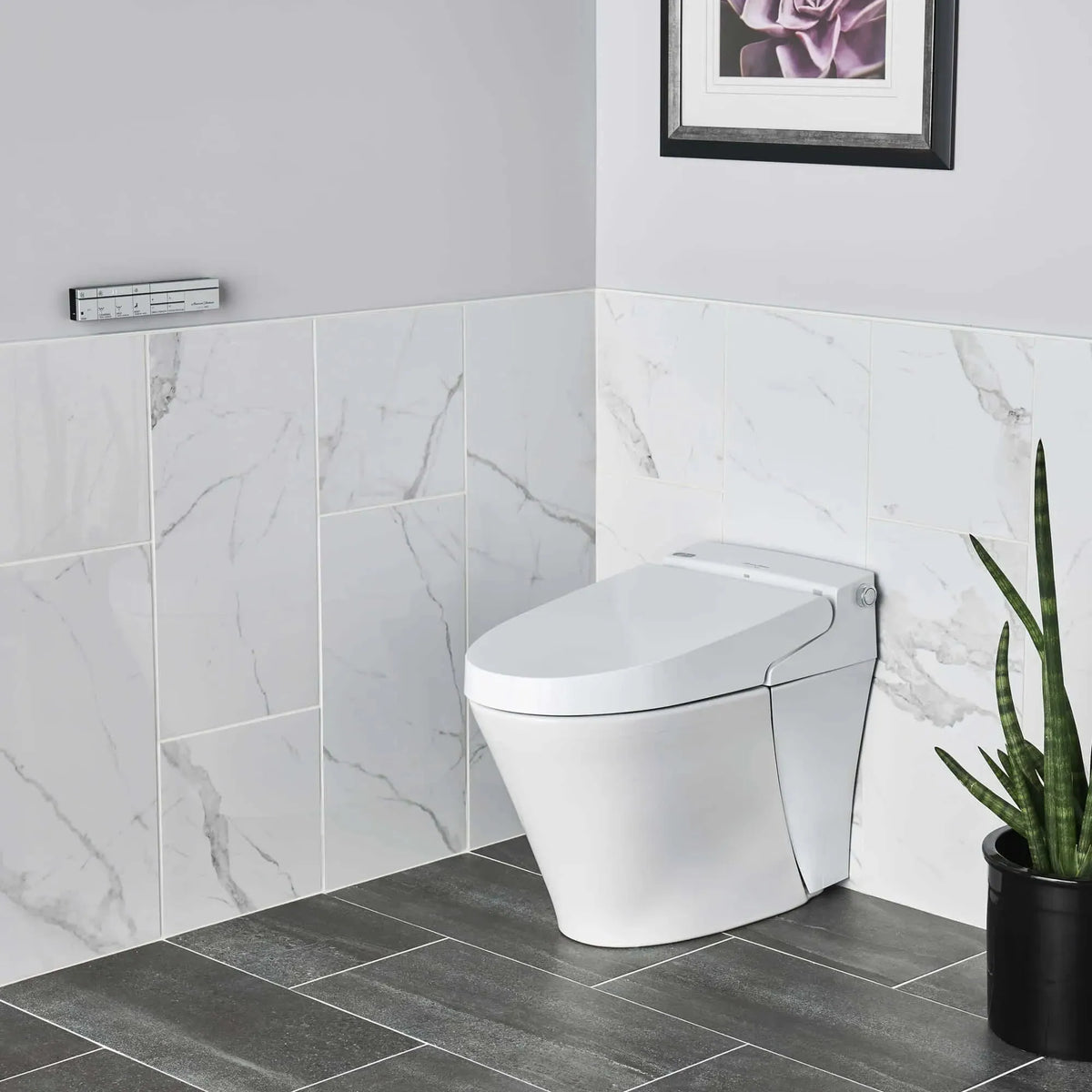 American Standard Advanced Clean 100 Smart Toilet - EverFlow Bidets